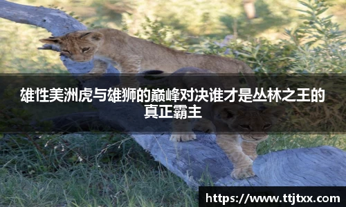 优游国际ub8